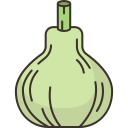 Squash(Chappal Kadoo)